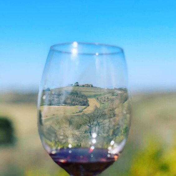 Montepulciano: Wine Tour and tasting