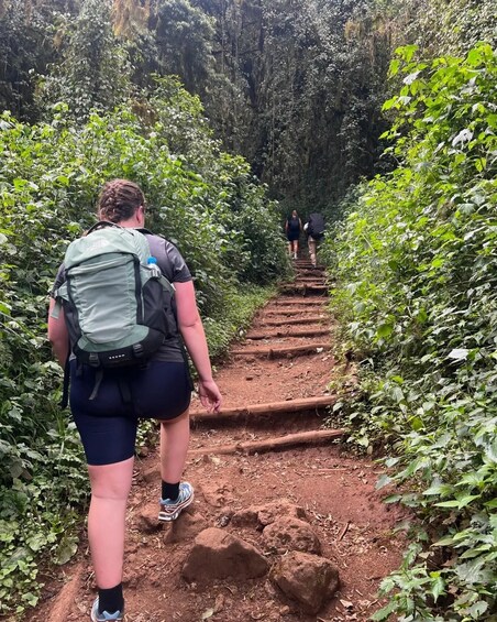 Picture 10 for Activity Mount Kilimanjaro Day Trip (with Lunch and Drinks)