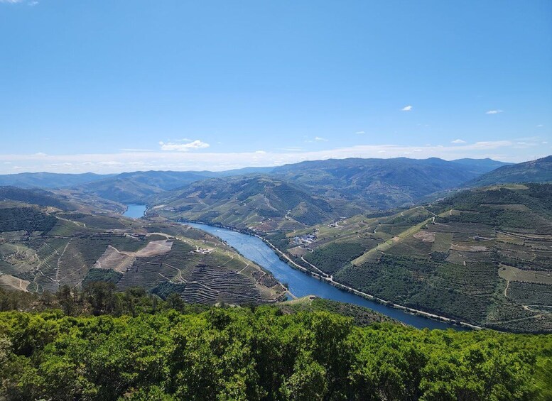 Picture 2 for Activity From Peso da Régua: Visit 3 wineries, tasting and viewpoint