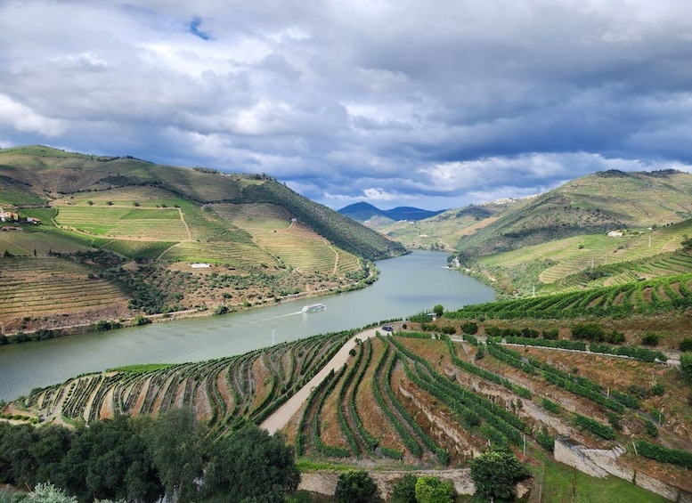 Picture 4 for Activity From Peso da Régua: Visit 3 wineries, tasting and viewpoint