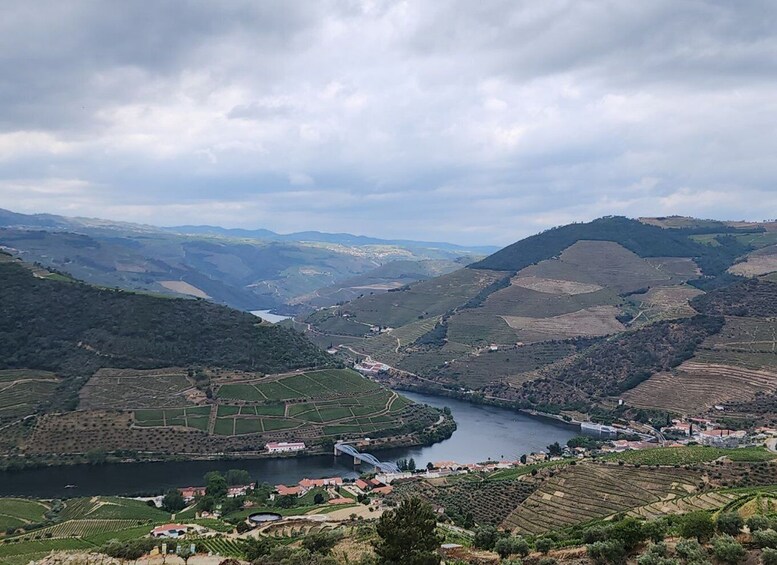 Picture 3 for Activity From Peso da Régua: Visit 3 wineries, tasting and viewpoint