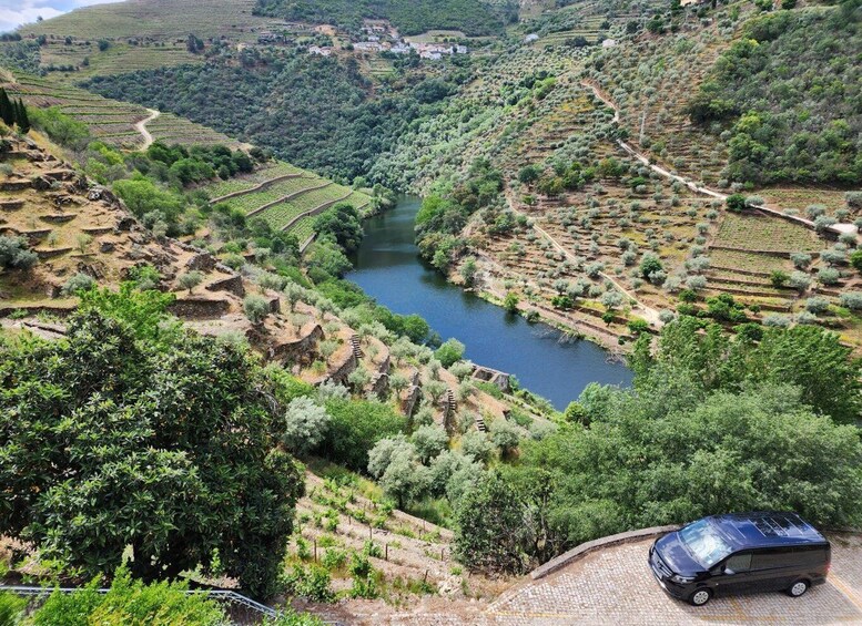 Picture 5 for Activity From Peso da Régua: Visit 3 wineries, tasting and viewpoint