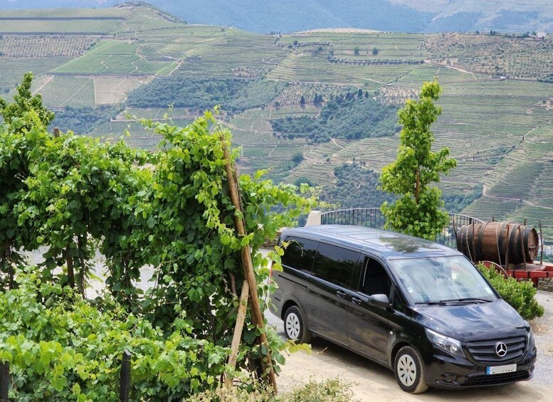 Picture 6 for Activity From Peso da Régua: Visit 3 wineries, tasting and viewpoint