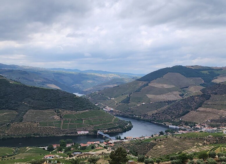 Picture 3 for Activity From Peso da Régua: Visit 3 wineries, tasting and viewpoint