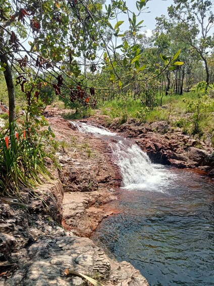 Picture 5 for Activity Litchfield 2 Day Tour. NT Top Adventures - Private Tour