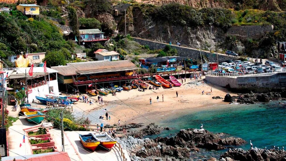 Picture 4 for Activity Isla Negra and Quintay: the so-called coast of poets