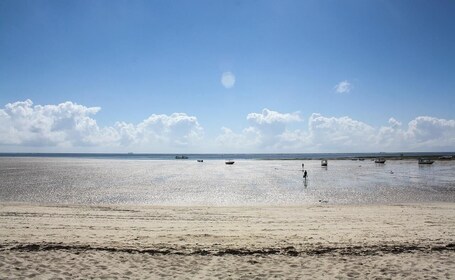 Kenian rannikkosafari: Mombasa, Shimba Hills & Tsavosin vuoristo.