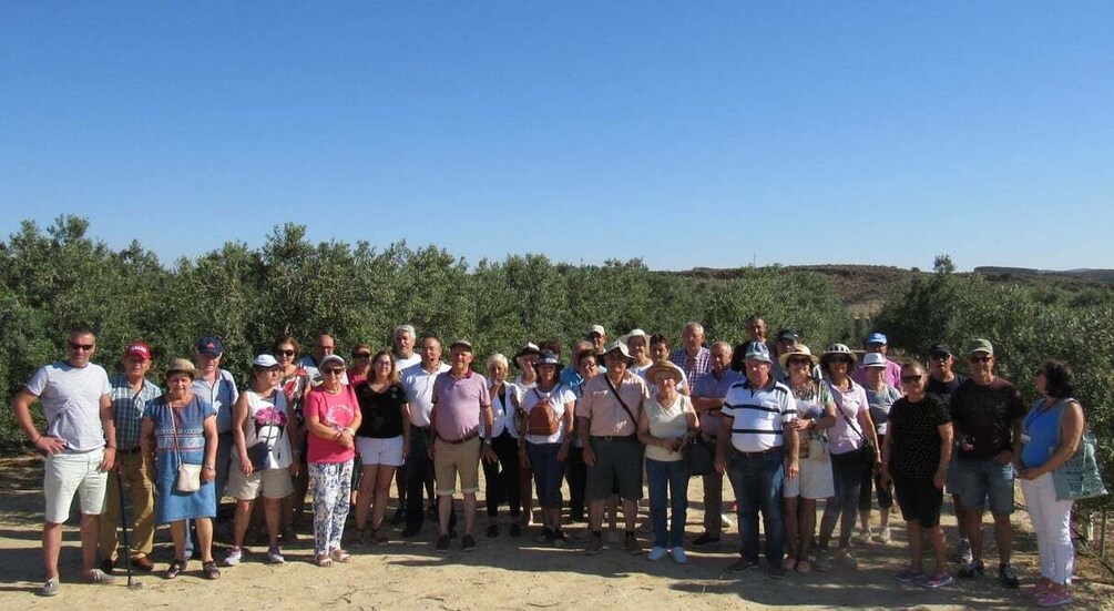 Picture 7 for Activity OleoAlmanzora: Guided Tour & Tasting + Pulpí Giant Geode