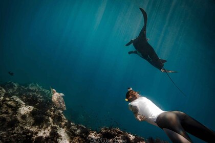 La Ventana: Manta Ray Snorkelling Adventure