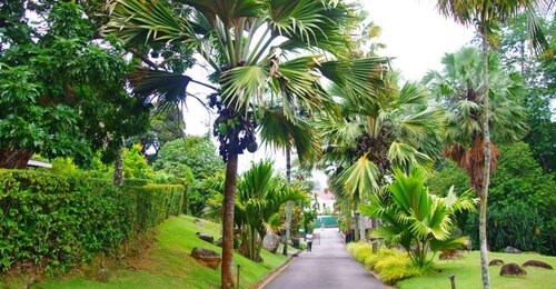 มาเฮ: ทัวร์ส่วนตัวแบบเต็มวันพร้อมบริการรับที่โรงแรม