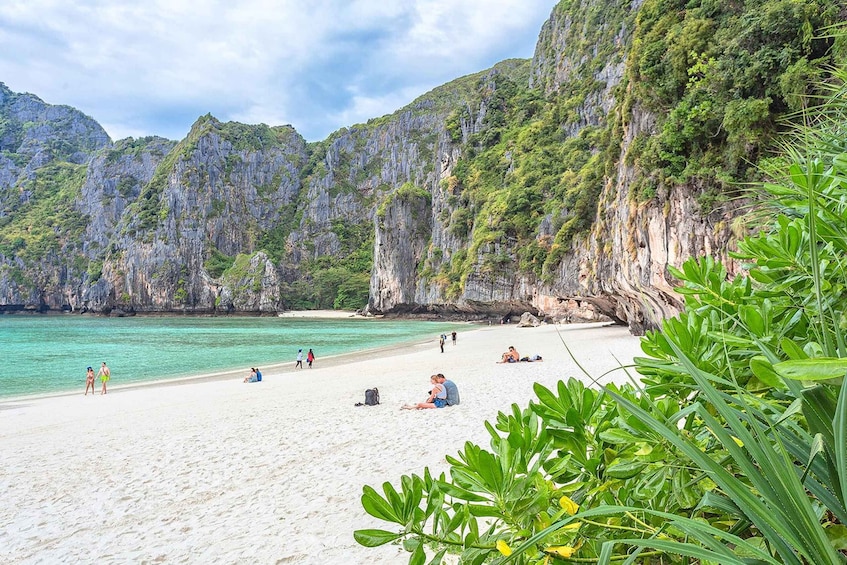 Picture 6 for Activity Phi Phi Islands: Maya Bay Tour By Private Longtail Boat