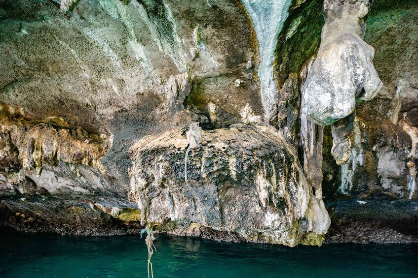 Picture 12 for Activity Phi Phi Islands: Maya Bay Tour By Private Longtail Boat