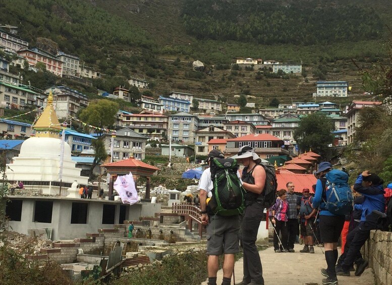 Picture 1 for Activity Everest Panorama Trek: 7 Days Discover the Everest & Culture