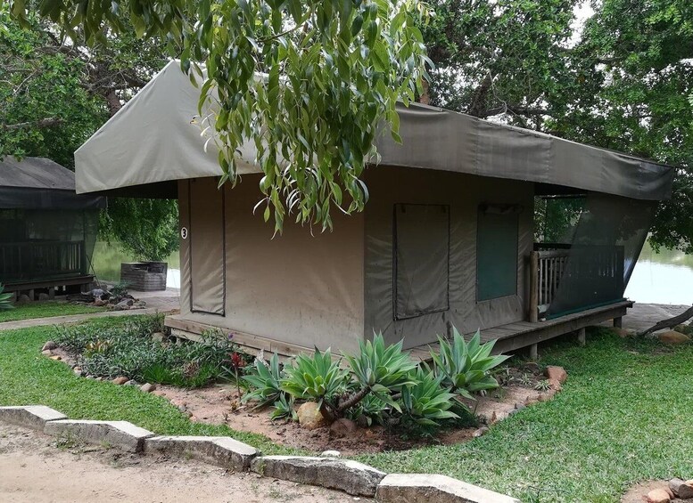 Picture 5 for Activity Kruger National Park - 4 Day Safari Tour