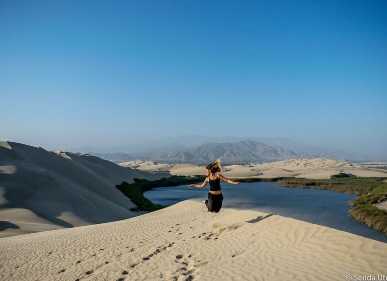 Picture 9 for Activity From Paracas: Mini Buggy Tour & Sandboarding at Oasis