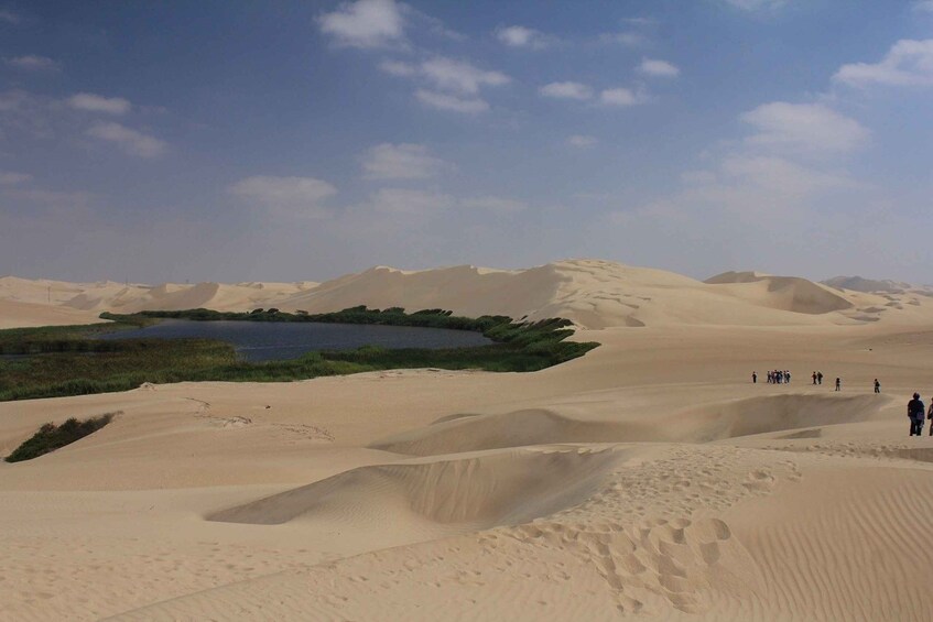 Picture 5 for Activity From Paracas: Mini Buggy Tour & Sandboarding at Oasis