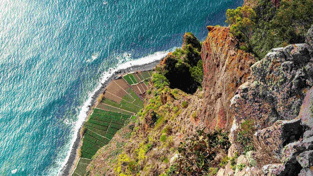 Picture 3 for Activity Madeira: Sunny South Side - Cabo Girão, Waterfall Anjos