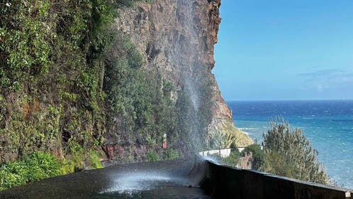 Madeira: Sunny South Side - Cabo Girão, Waterfall Anjos