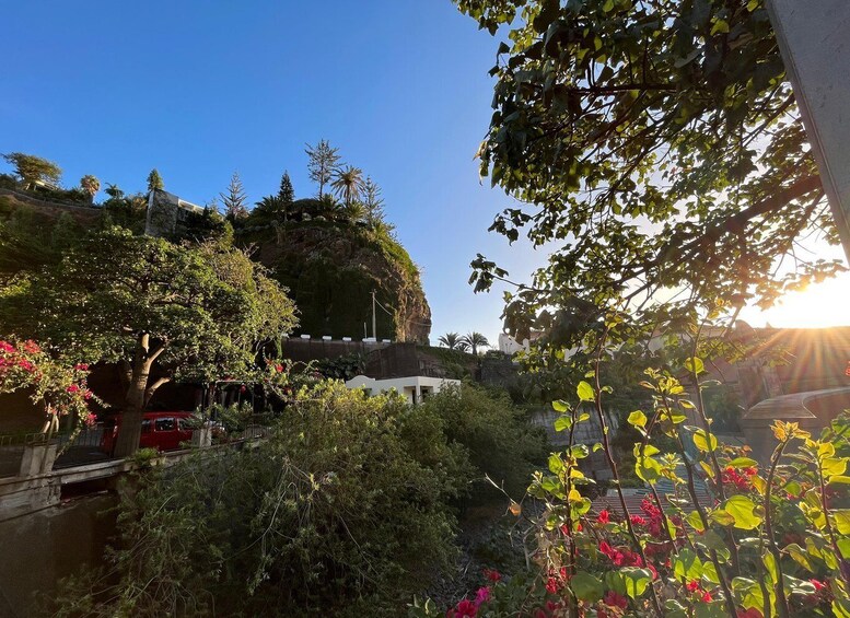 Picture 2 for Activity Madeira: Sunny South Side - Cabo Girão, Waterfall Anjos