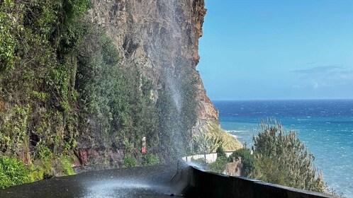 Madeira: Sunny South Side - Cabo Girão, Waterfall Anjos