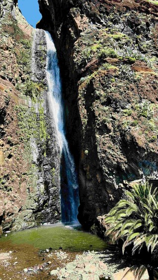 Picture 5 for Activity Madeira: Sunny South Side - Cabo Girão, Waterfall Anjos