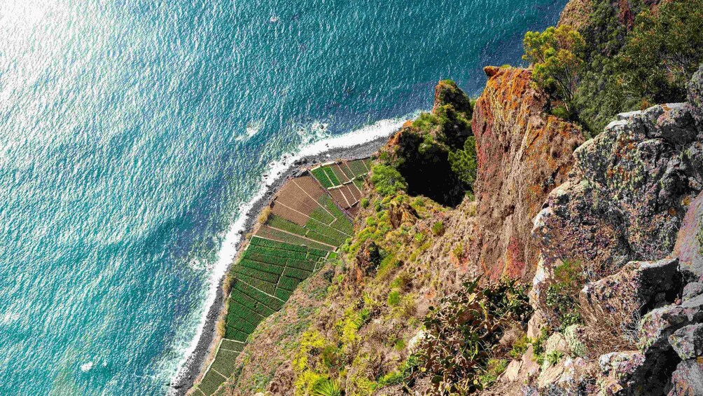 Picture 3 for Activity Madeira: Sunny South Side - Cabo Girão, Waterfall Anjos