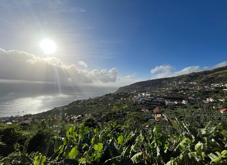 Picture 7 for Activity Madeira: Sunny South Side - Cabo Girão, Waterfall Anjos