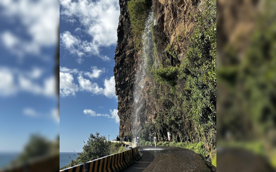 Picture 15 for Activity Madeira: Sunny South Side - Cabo Girão, Waterfall Anjos
