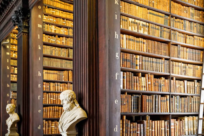 Skip-the-line Book of Kells and Old Town Private Tour