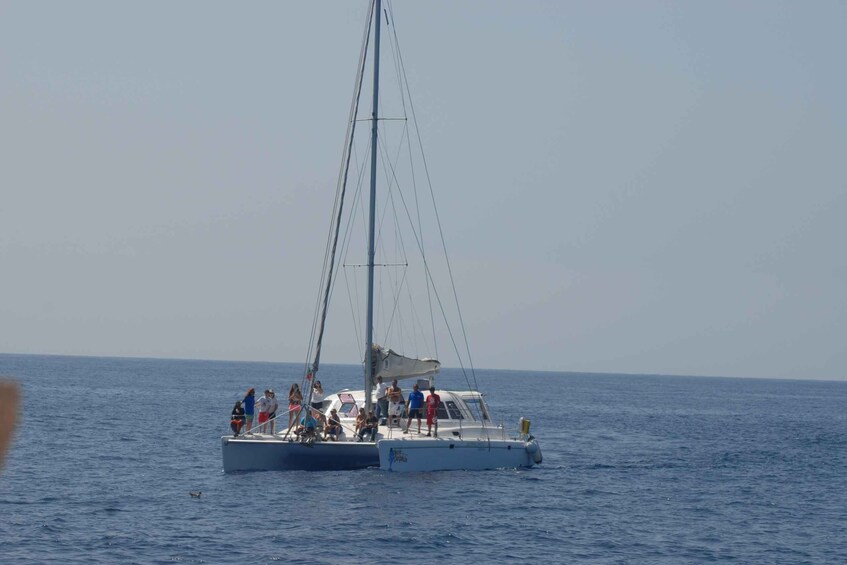 Picture 1 for Activity Funchal: Private Catamaran Tour with Dolphin Watching