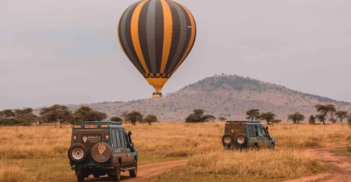 Serengeti Balloon Safari and Bush Breakfast