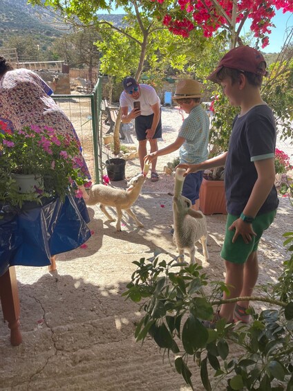 Picture 3 for Activity Naxos: Private Half-Day Family-Friendly Tasting Tour