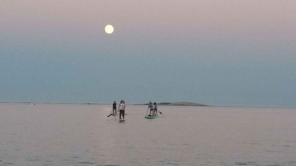 Picture 4 for Activity Oak Bay: Full Moon Paddle Experience