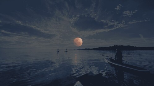 Oak Bay: Full Moon Paddle Experience