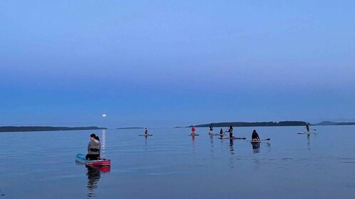 Oak Bay: Full Moon Paddle Experience