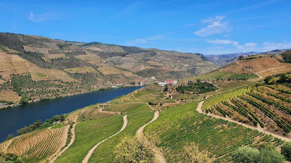 Picture 5 for Activity From Porto Douro Valley Tour with Train and Vinho Verde