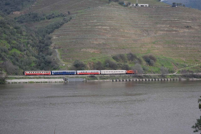 Picture 12 for Activity From Porto Douro Valley Tour with Train and Vinho Verde