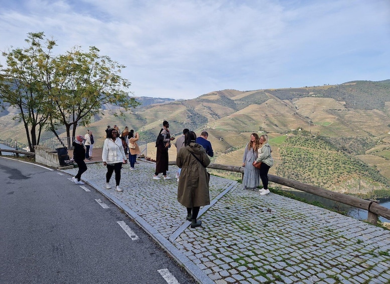 Picture 3 for Activity From Porto Douro Valley Tour with Train and Vinho Verde