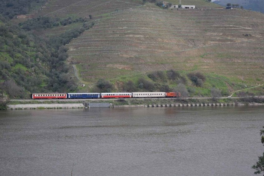 Picture 12 for Activity From Porto Douro Valley Tour with Train and Vinho Verde