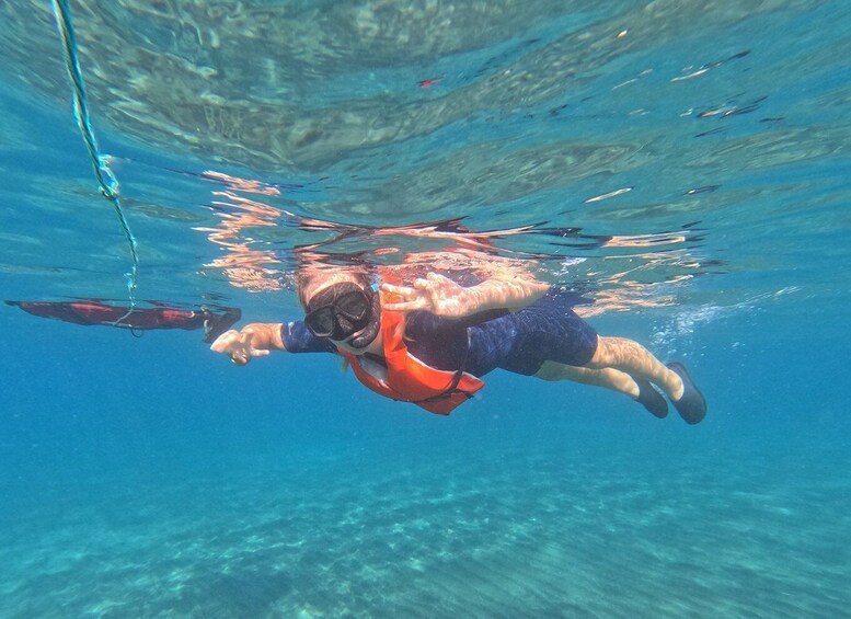 Picture 3 for Activity Fuerteventura: Guided Snorkeling in La Lajita with Pickup