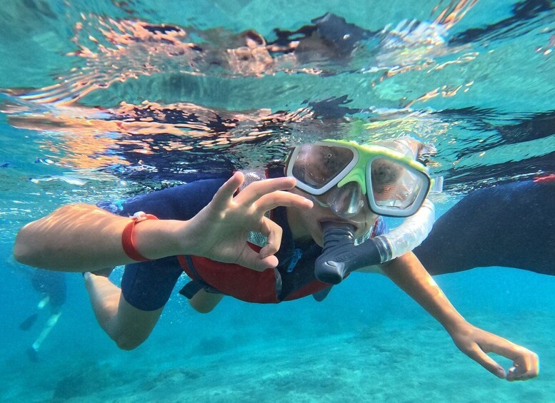 Picture 1 for Activity Fuerteventura: Guided Snorkeling in La Lajita with Pickup