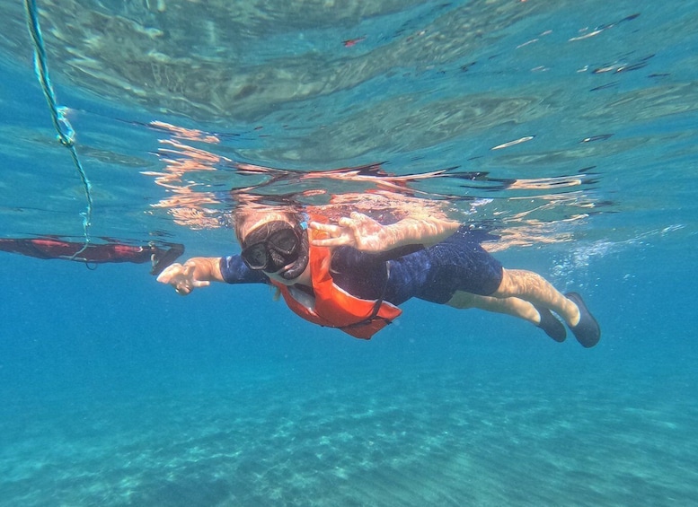 Picture 3 for Activity Fuerteventura: Guided Snorkeling in La Lajita with Pickup