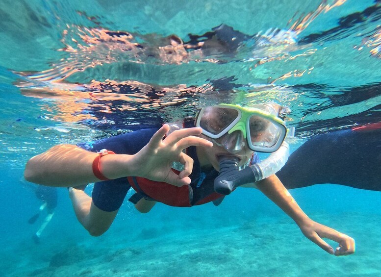 Picture 1 for Activity Fuerteventura: Guided Snorkeling in La Lajita with Pickup