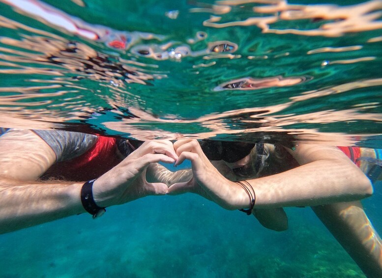 Fuerteventura: Guided Snorkeling in La Lajita with Pickup