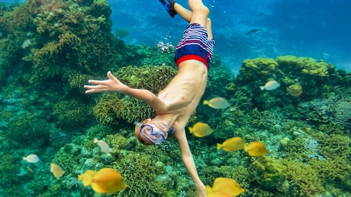 Esperienza in catamarano a Cozumel con snorkeling e beach club