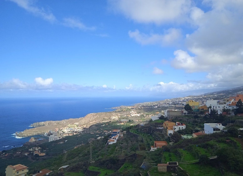 Picture 15 for Activity Tenerife: Teide, Icod de los Vinos, Garachico & Masca Tour