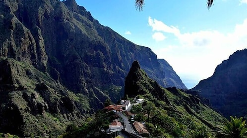 Teneriffa: Vinos, Garachico & Masca Tour: Teide, Icod de los Vinos, Garachi...