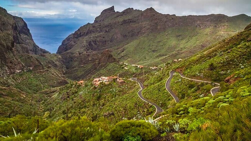 Picture 40 for Activity Tenerife: Teide, Icod de los Vinos, Garachico & Masca Tour