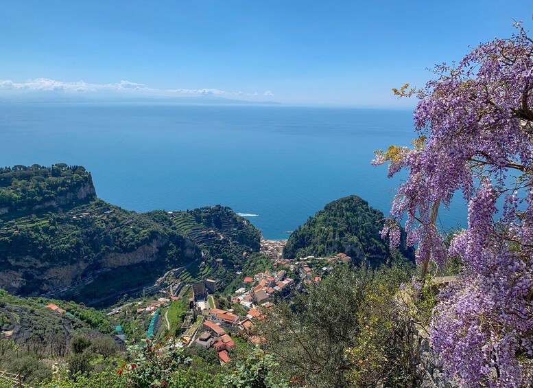 Picture 2 for Activity Amalfi Coast Path of the Lemon private walking tour