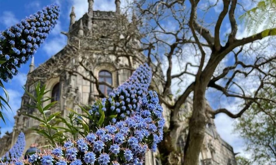 Picture 6 for Activity Sintra, Pena Palace & Regaleira pick-up from Lisbon